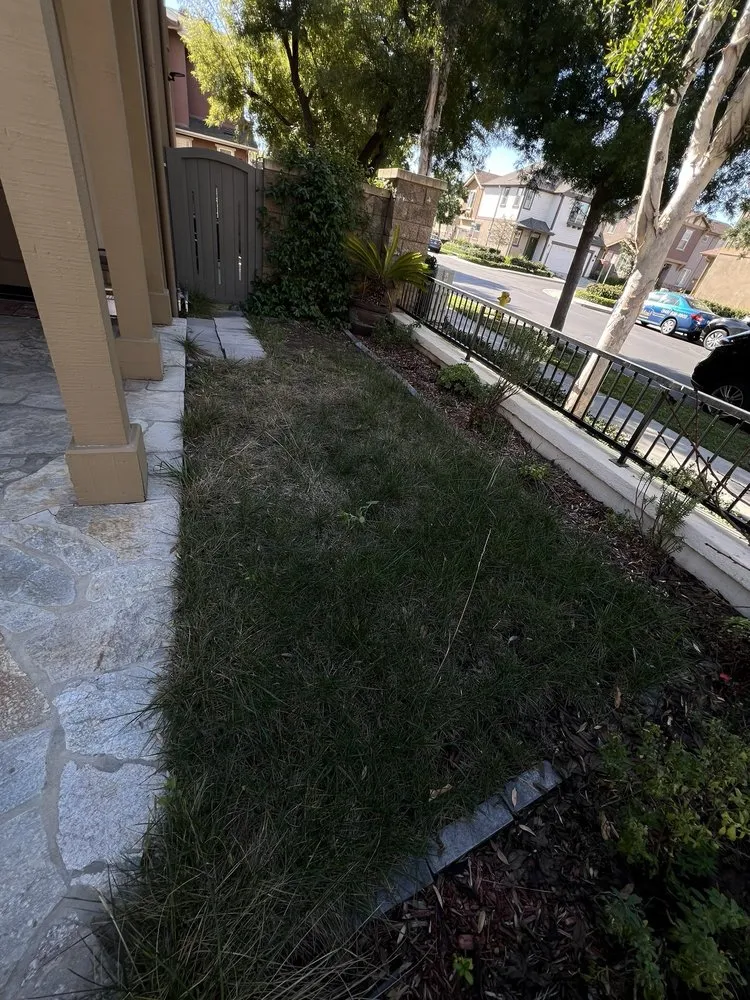 Trusted landscape installation in Lake Forest, CA - GPR Brothers Construction & Landscaping
