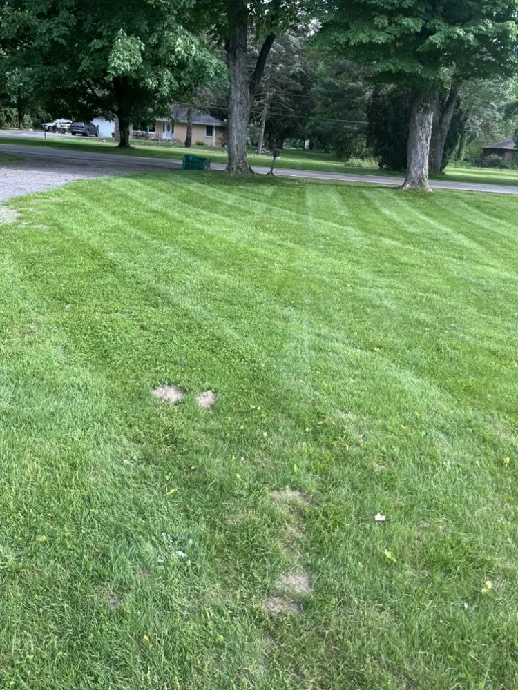 Custom outdoor landscaping experts serving Edwardsburg, MI - GPR Services