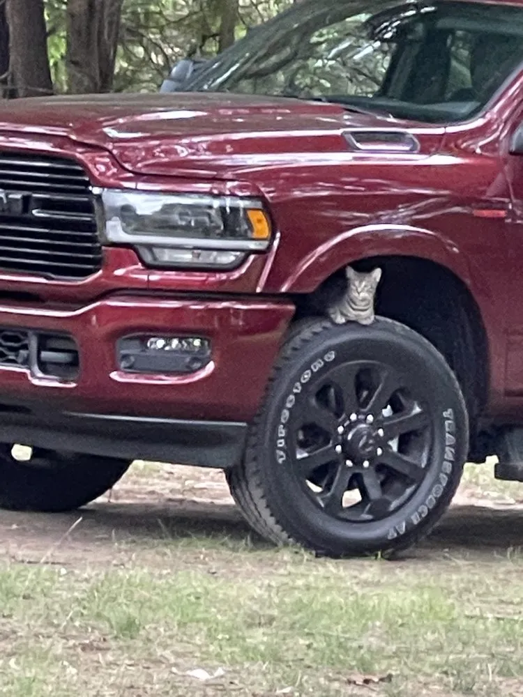 Trusted landscaping services with custom design in Edwardsburg, MI by GPR Services