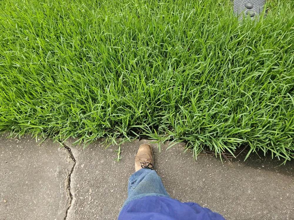 Trusted residential landscaping experts serving Splendora, TX - GQ Landscaping & Lawn Care Services