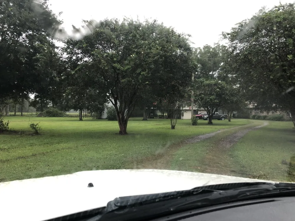 Reliable lawn mowing service for year-round maintenance across Jennings, LA - GQ Lawn Care