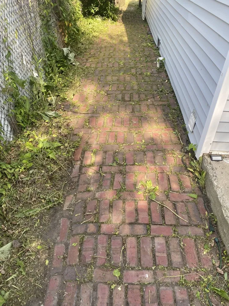 Trusted lawn care service for homes across Chicago, IL - GR 25 Lawn And Landscaping