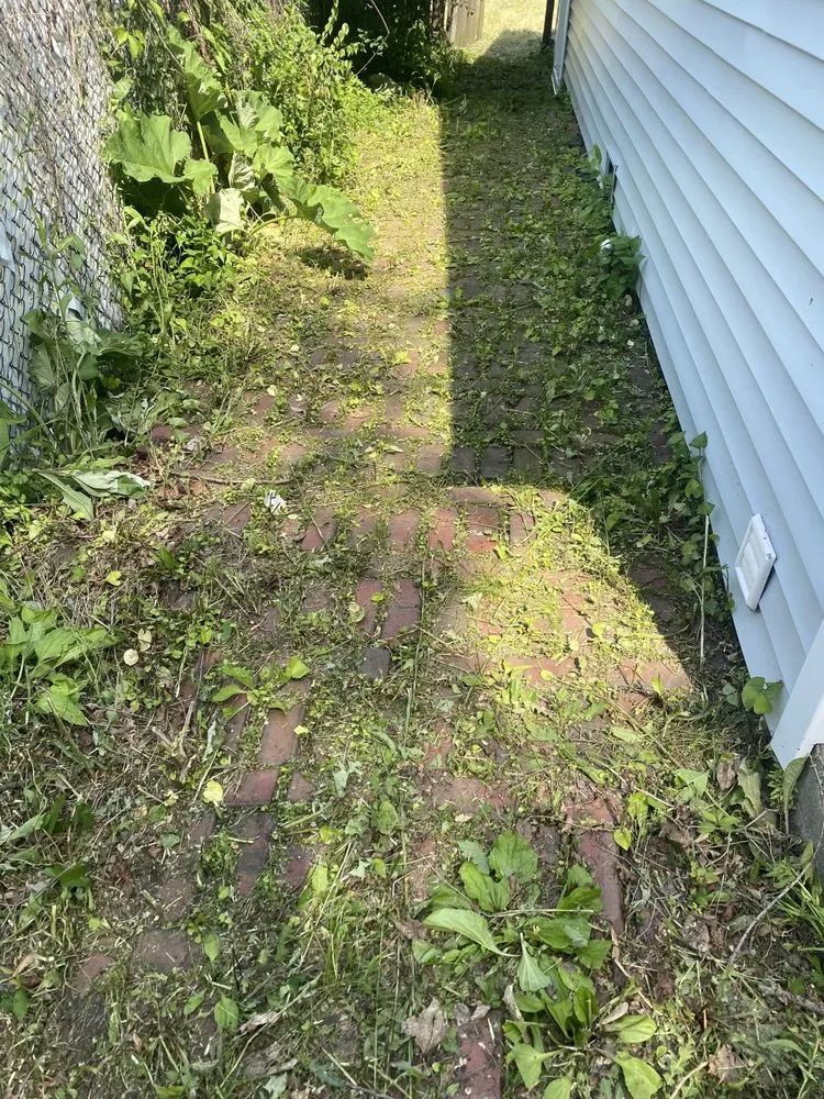 Top-rated landscape installation in Chicago, IL - GR 25 Lawn And Landscaping