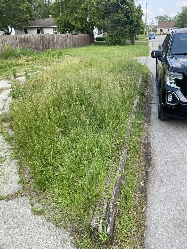 Local landscape design experts serving Chicago, IL - GR 25 Lawn And Landscaping