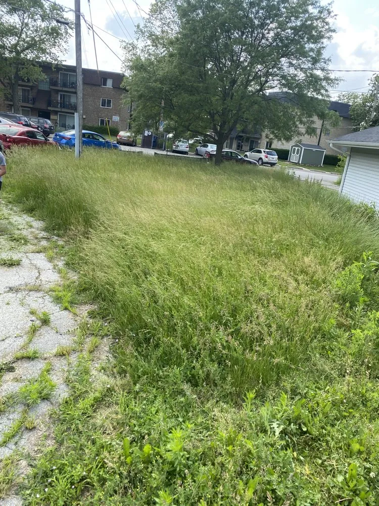 Local landscaping services for beautiful yards across Chicago, IL - GR 25 Lawn And Landscaping