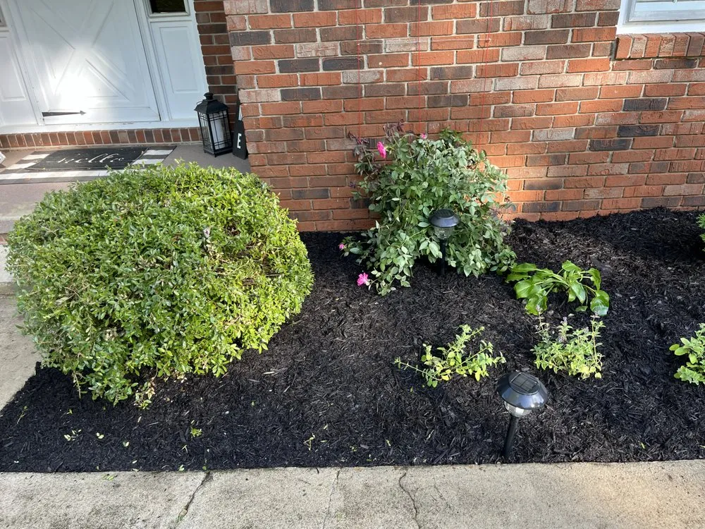 Top-rated landscaping services in Caryville, TN - GR Exterior Design