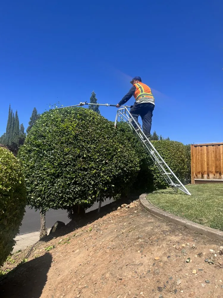 Professional outdoor landscaping for outdoor upgrades in Sacramento, CA by GR Landscape Management