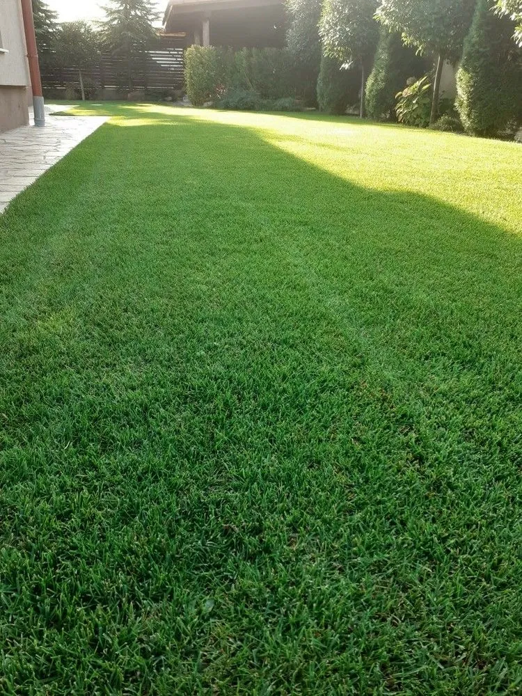 Top-rated yard maintenance for beautiful yards in Chester, VA by GR Landscaping