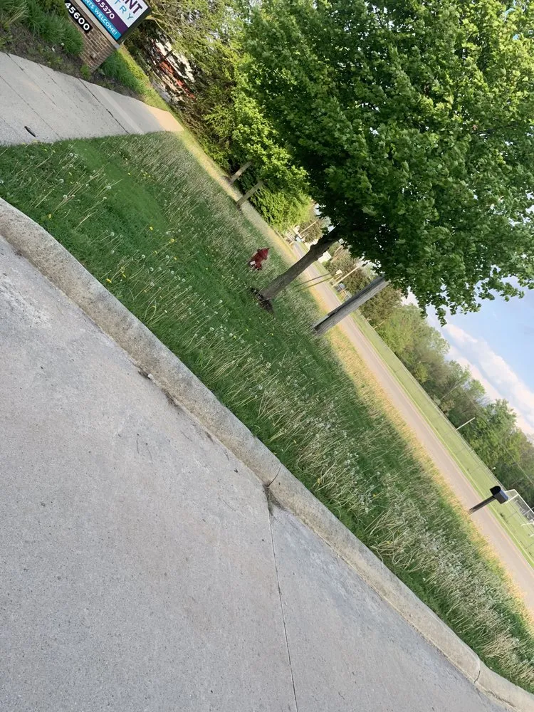 Expert yard cleanup service in Detroit, MI by GR Landscaping