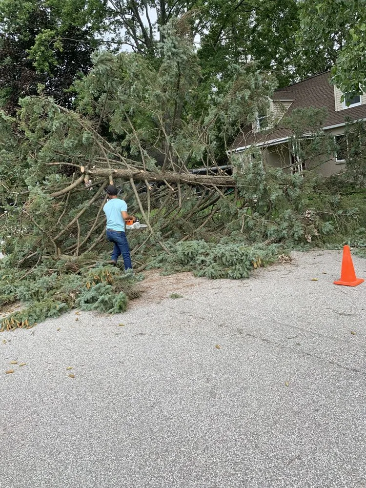 Affordable lawn mowing service with custom design across Detroit, MI - GR Landscaping