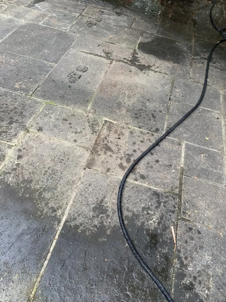 Affordable yard cleanup service in Detroit, MI by GR Landscaping