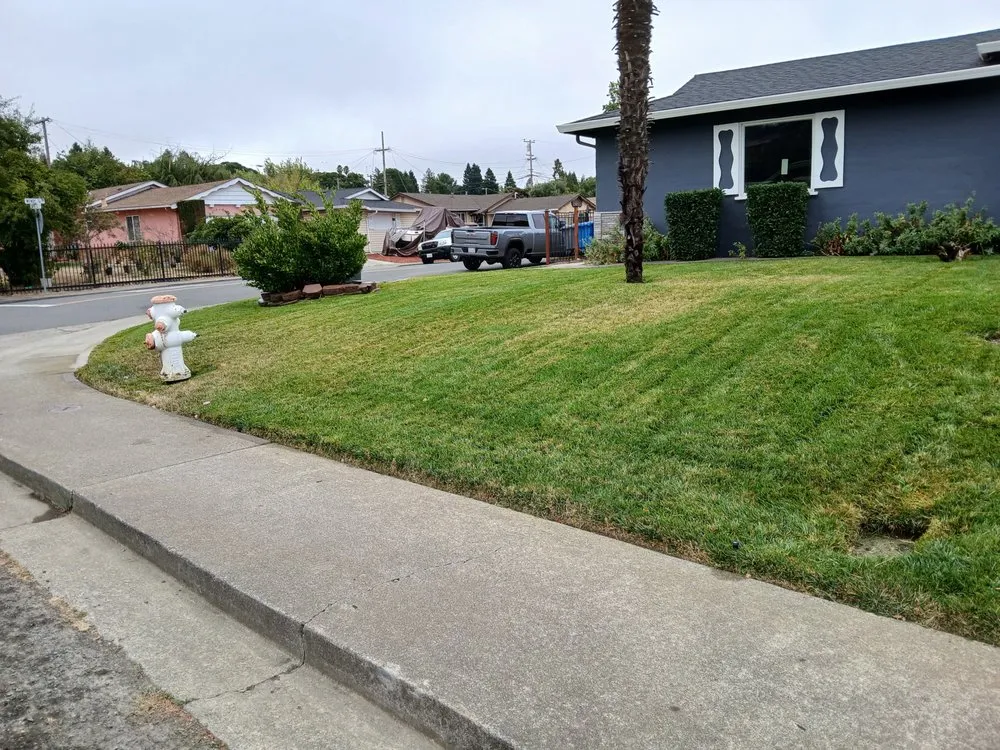 Trusted yard cleanup service in North Richmond, CA by GR landscaping