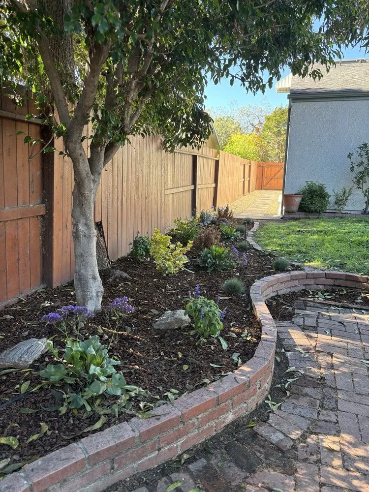 Expert residential landscaping experts serving San Fernando Valley, CA - GR Landscaping