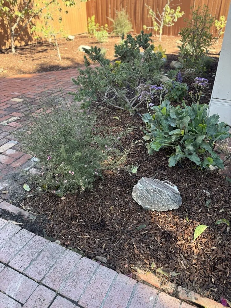 Trusted landscaping services in San Fernando Valley, CA by GR Landscaping