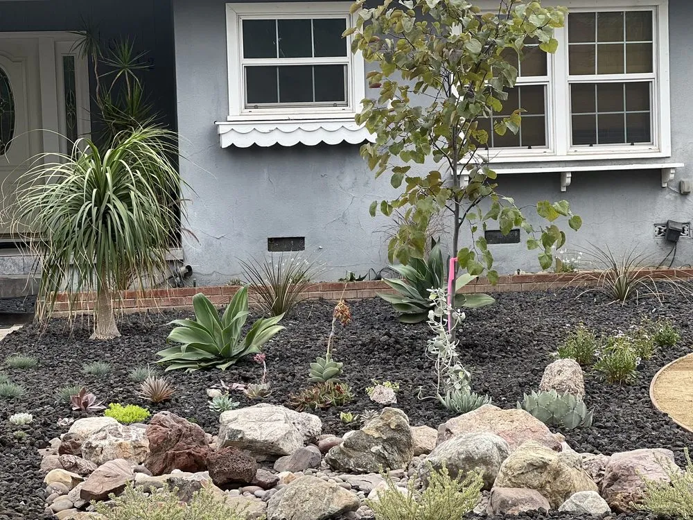 Top-rated lawn mowing service in San Fernando Valley, CA by GR Landscaping