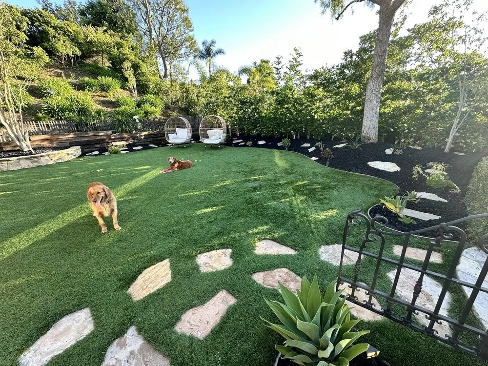 Expert yard cleanup service in San Fernando Valley, CA by GR Landscaping