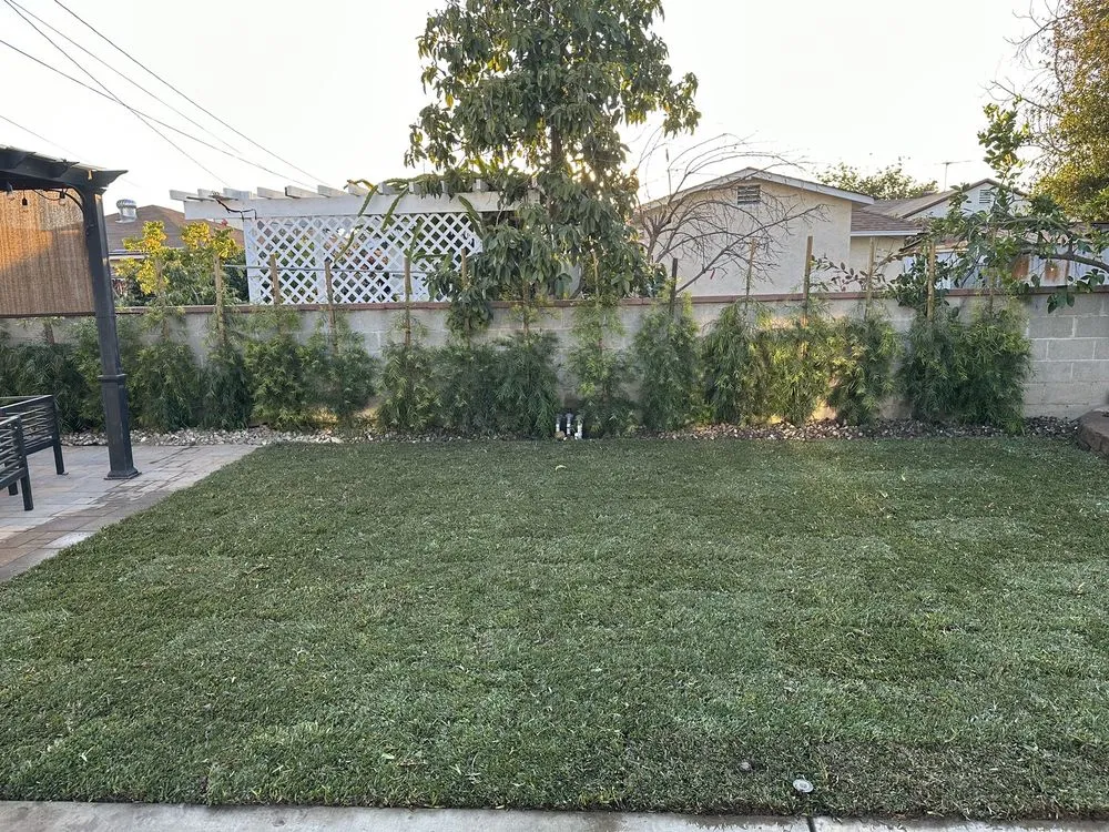 Top-rated landscape installation in San Fernando Valley, CA by GR Landscaping