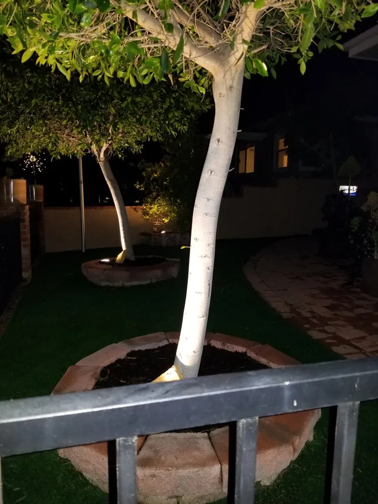 Expert residential landscaping in San Fernando Valley, CA by GR Landscaping