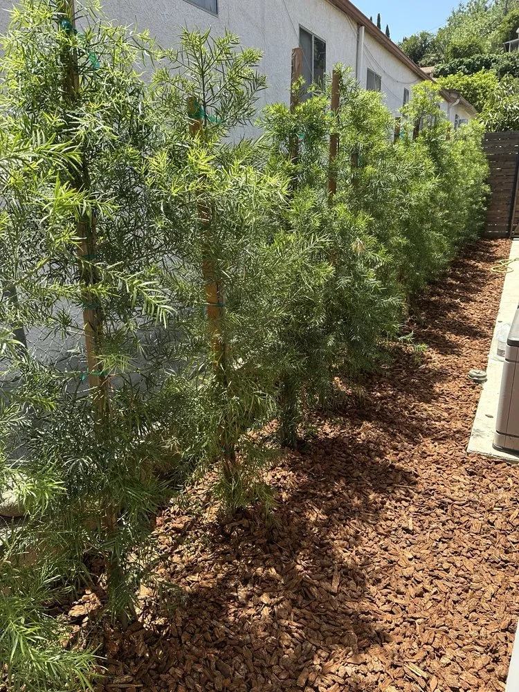 Top-rated landscaping services with custom design across San Fernando Valley, CA - GR Landscaping