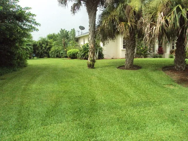 Reliable outdoor landscaping in North Fort Myers, FL by G&R Lawn Care LLC