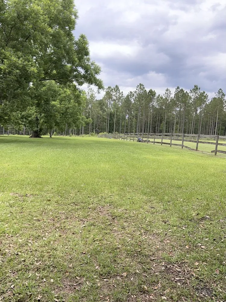 Affordable landscaping services for year-round maintenance in Cairo, GA by G&R Lawn Care Services