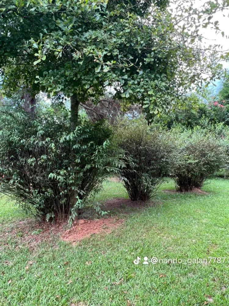 Trusted landscape installation in Cairo, GA by G&R Lawn Care Services