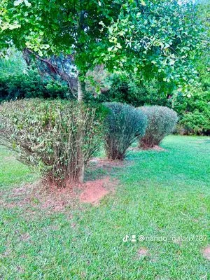 G&R Lawn Care Services