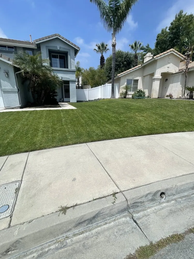 Expert yard maintenance in Mentone, CA by GR Lawn Care Services
