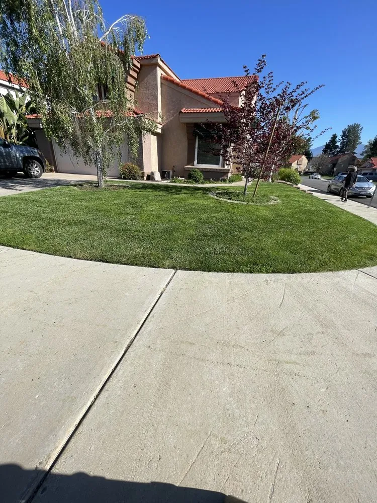 Professional residential landscaping in Mentone, CA - GR Lawn Care Services