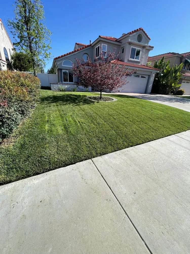 Local yard cleanup service experts serving Mentone, CA - GR Lawn Care Services