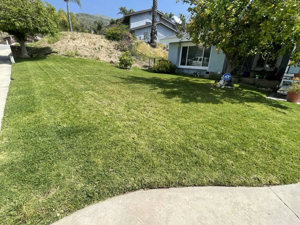 Affordable yard maintenance in Mentone, CA - GR Lawn Care Services