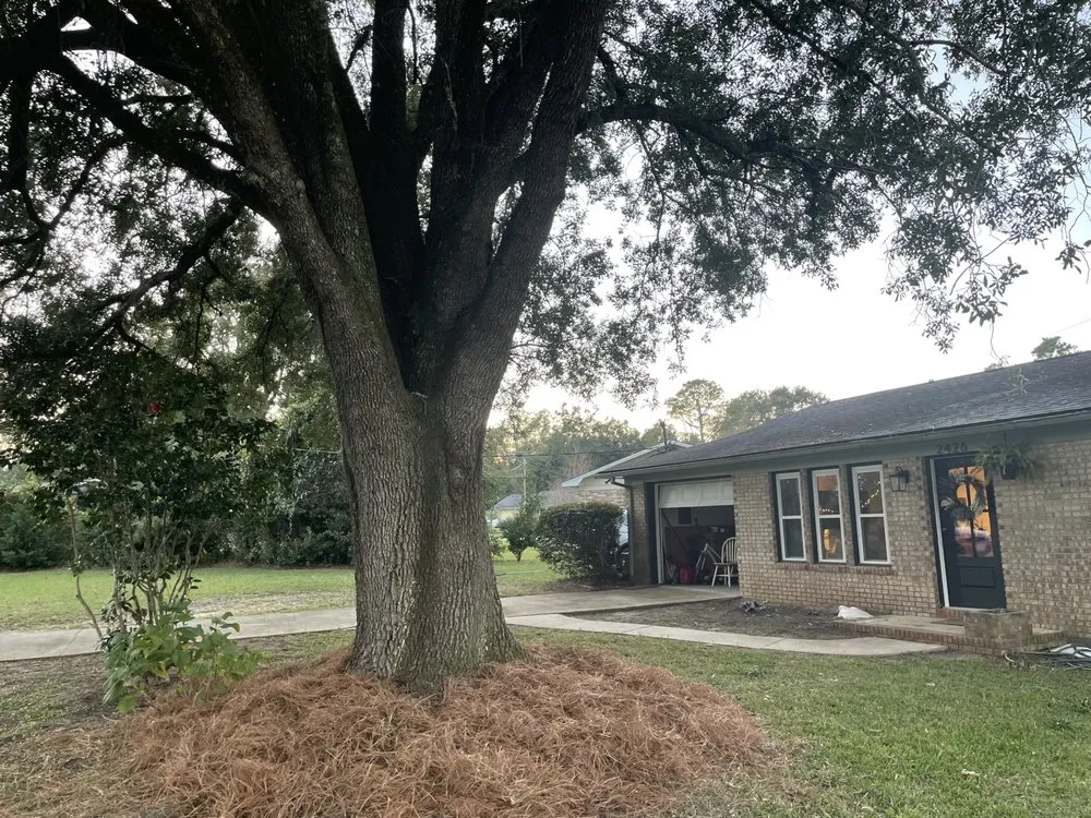 Top-rated garden landscaping in Tallahassee, FL - GR Lawn Care