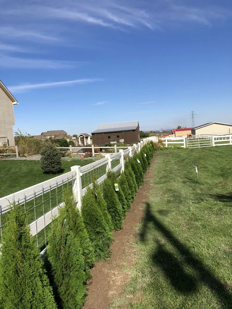 Local yard cleanup service for year-round maintenance across Pasco, WA - G&R Lawn Maintenance