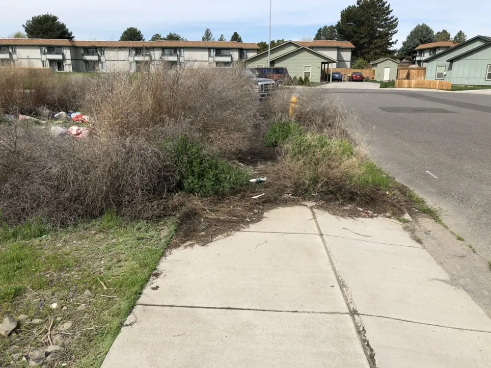 Expert yard maintenance in Pasco, WA by G&R Lawn Maintenance