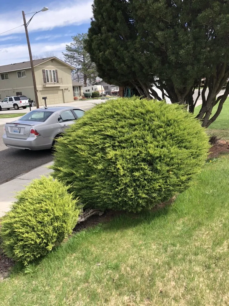 Reliable landscaping services for homes across Pasco, WA - G&R Lawn Maintenance