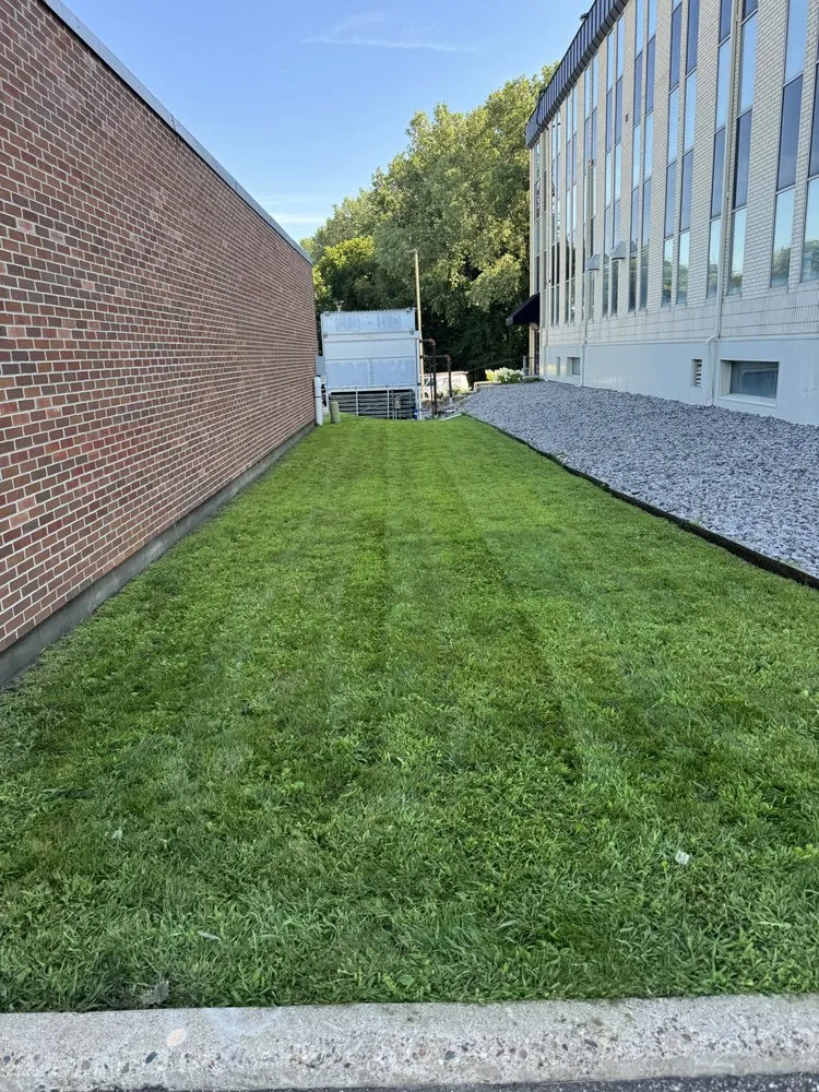 Expert residential landscaping with custom design in Hopkins, MN by GR Lawncare