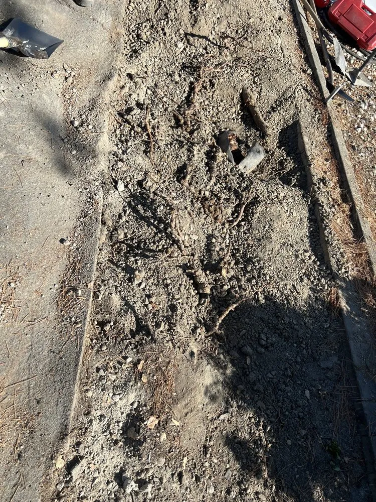 Trusted landscape design for outdoor upgrades in San Rafael, CA by GR Paver