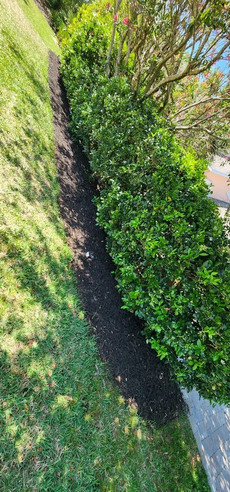 Expert lawn mowing service near you in Hastings, FL by GR8 Clipz Lawn Care