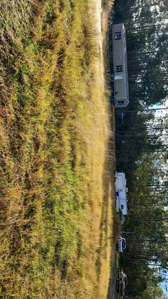 Top-rated residential landscaping in Hastings, FL by GR8 Clipz Lawn Care