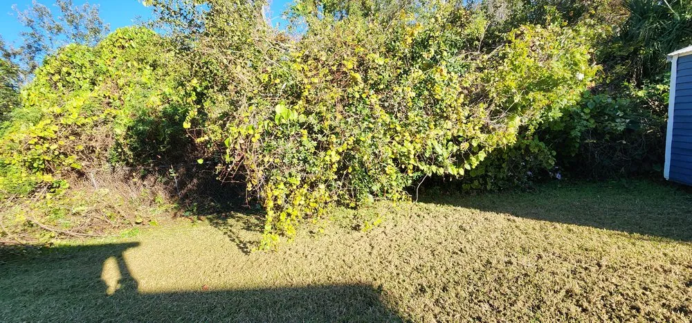 Reliable yard cleanup service for beautiful yards in Hastings, FL by GR8 Clipz Lawn Care