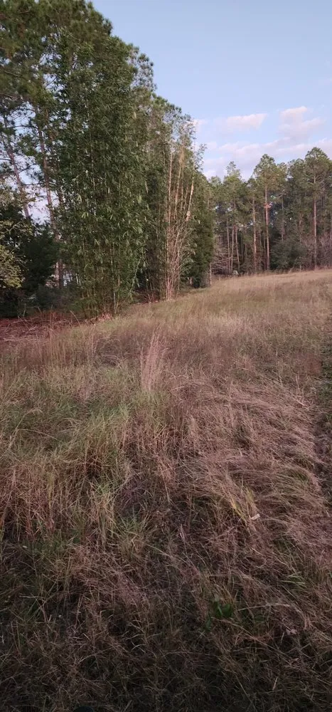 Trusted lawn care service in Hastings, FL - GR8 Clipz Lawn Care