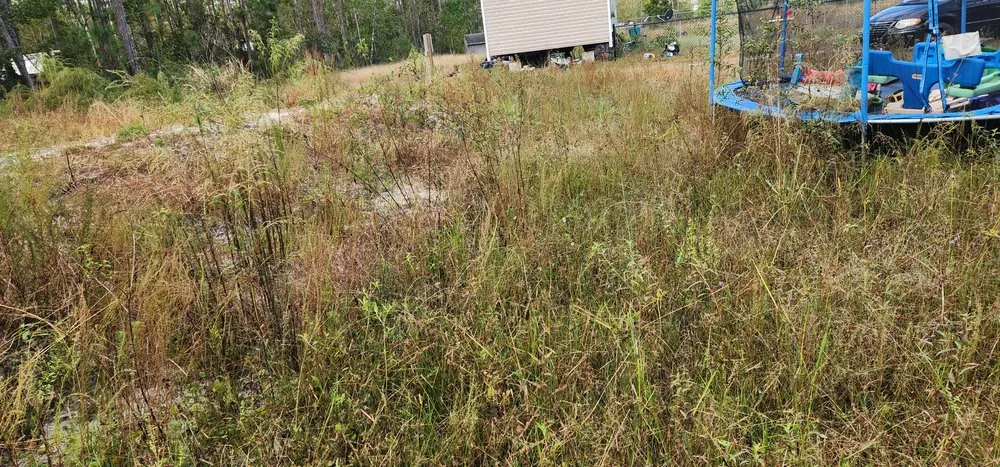 Top-rated garden landscaping experts serving Hastings, FL - GR8 Clipz Lawn Care