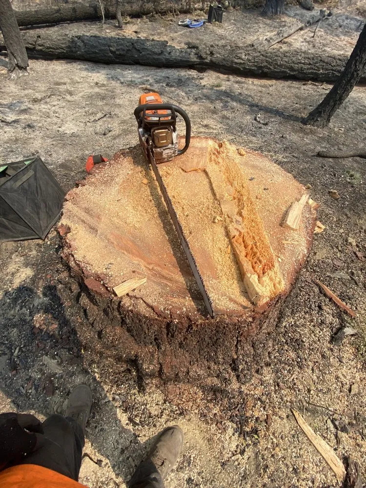 Local landscape installation in Fresno, CA by Gr8t Tree Service