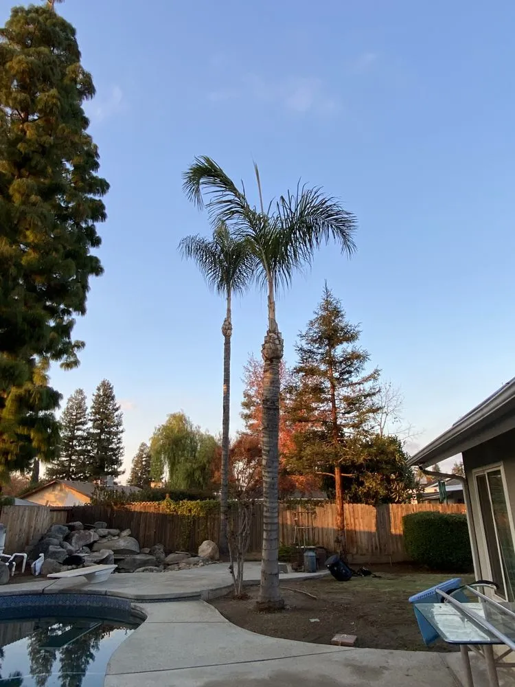 Professional outdoor landscaping in Fresno, CA - Gr8t Tree Service