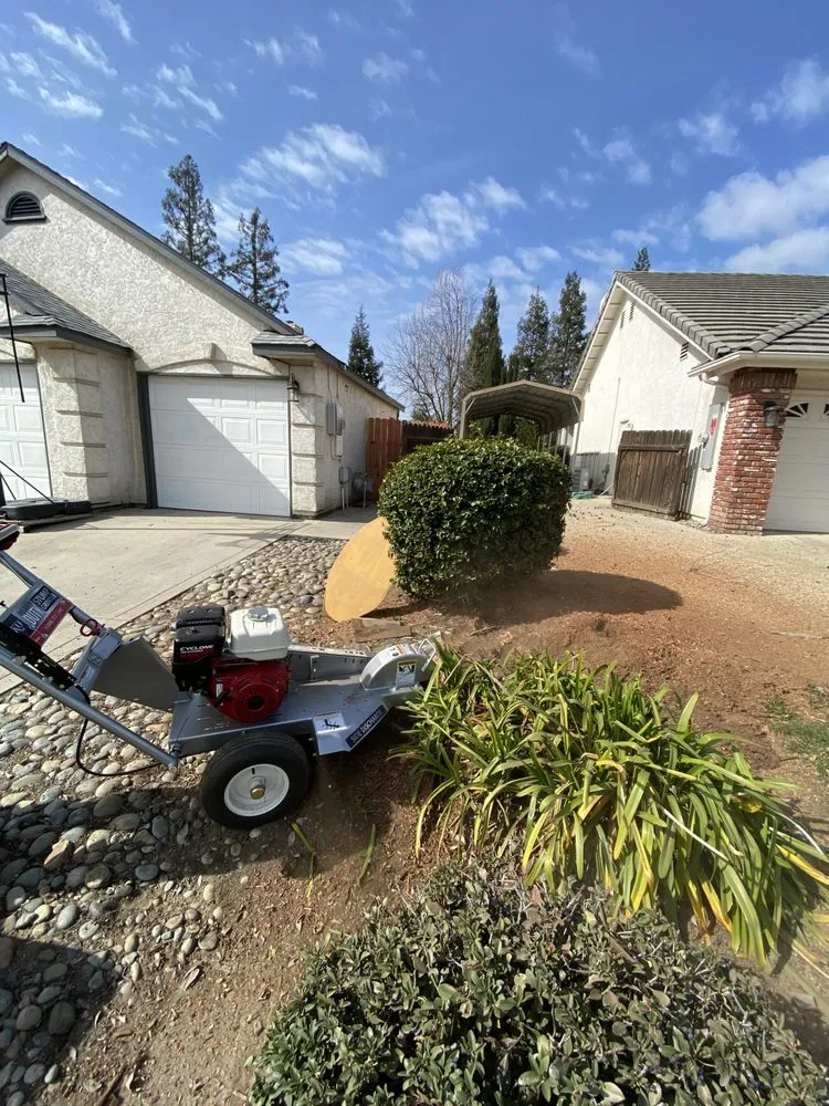 Expert residential landscaping experts serving Fresno, CA - Gr8t Tree Service
