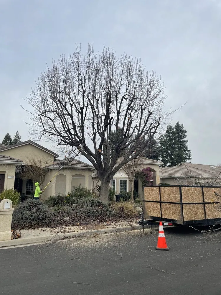Affordable landscaping services with custom design across Fresno, CA - Gr8t Tree Service