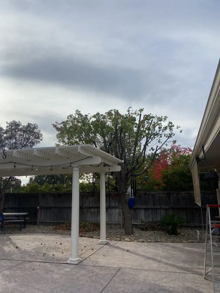 Local yard cleanup service experts serving Fresno, CA - Gr8t Tree Service