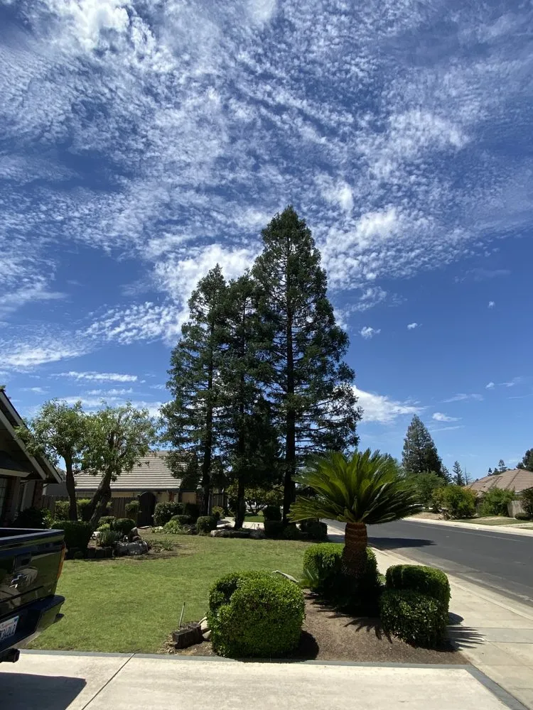Expert landscape design near you across Fresno, CA - Gr8t Tree Service
