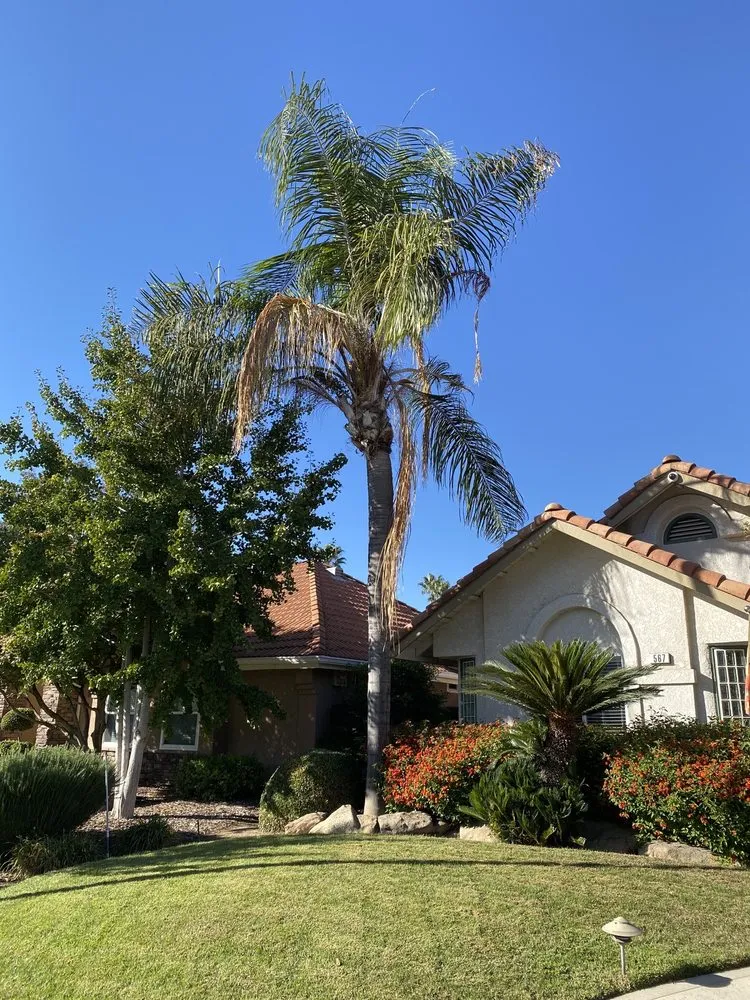 Professional outdoor landscaping for residential properties across Fresno, CA - Gr8t Tree Service