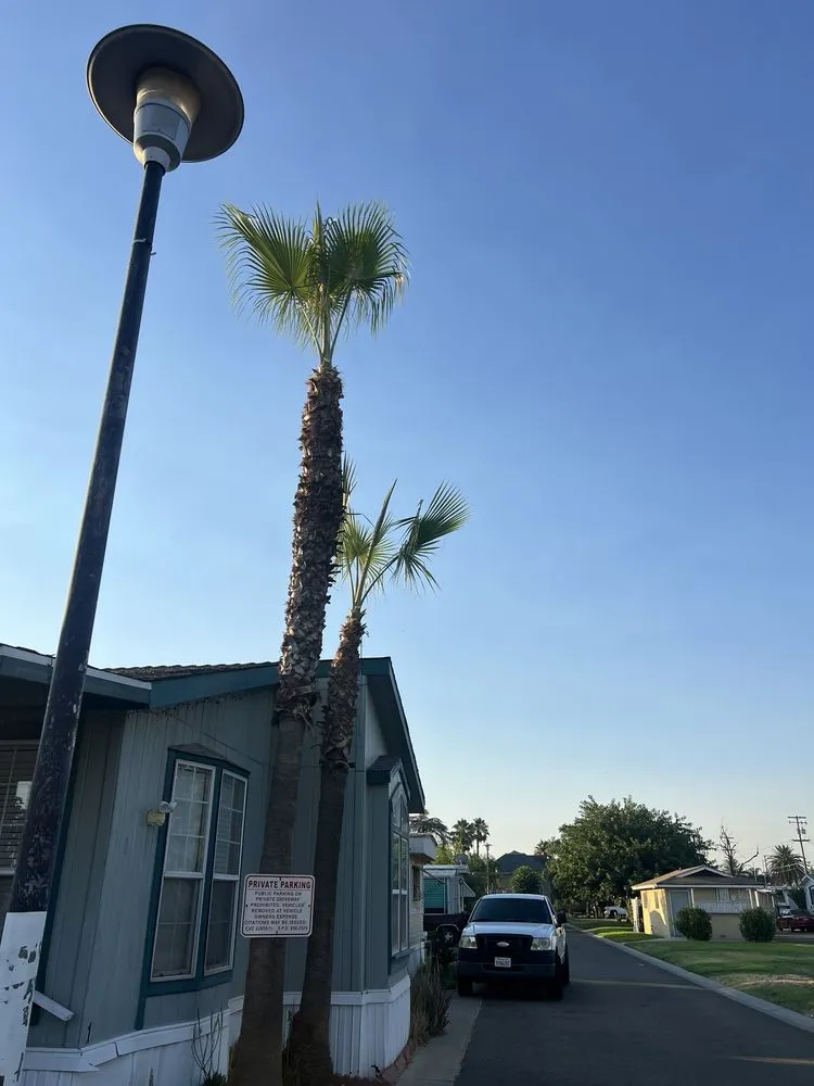 Expert landscaping services in Fresno, CA - Gr8t Tree Service